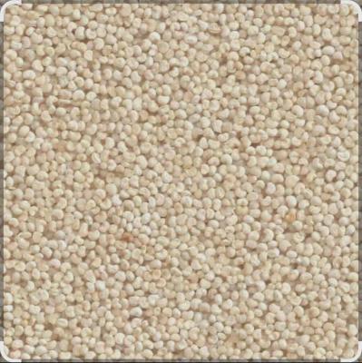 Khaskhas 50gm